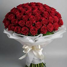 Букет 101 Красная роза Блэк Мэджик в Палане