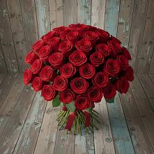 Букет 55 Красных роз Фридом #REPLACE_PRED# Палане