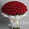 Букет 101 Красная роза Блэк Мэджик в Палане