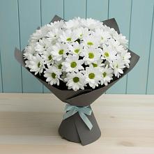 Букет цветов из:  Хризантемы #REPLACE_PRED# Палане