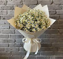 Букет цветов из:  Ромашки в Палане