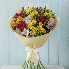 Букет цветов из:  Альстромерии в Палане