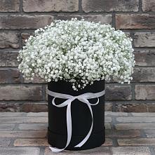 Цветочная композиция из Гипсофила в шляпной коробке в Палане