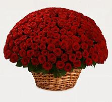 Премиум букет из: Розы в Палане