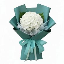 Букет цветов из:  Гортензия в Палане